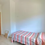 S.Benedetto Terrace Apartment